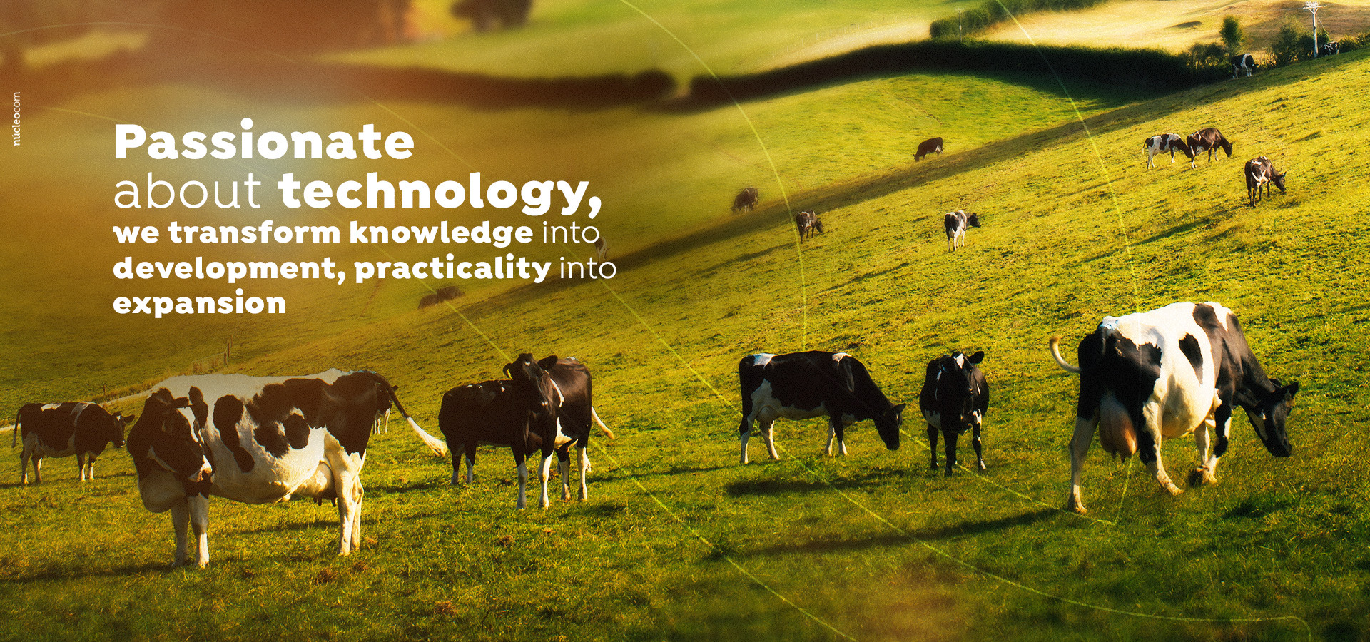 Passionate about technology, we transform knowledge into development, practicality into expansion