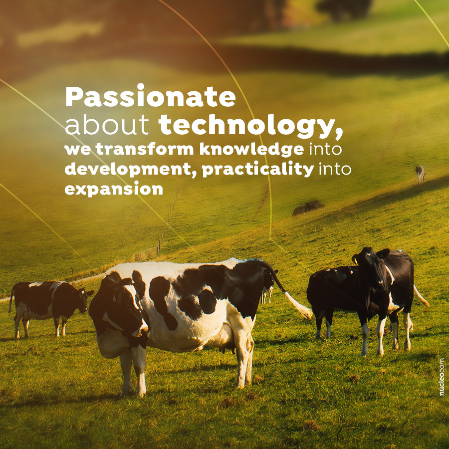 Passionate about technology, we transform knowledge into development, practicality into expansion