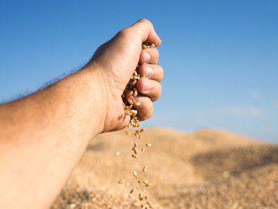 Armazenamento de grãos: Extraplast complementa métodos convencionais