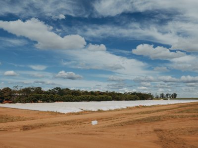 Show Safra 2025: fique por dentro de tudo o que preparamos para o evento