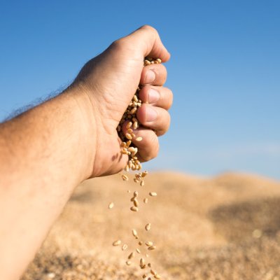 Armazenamento de grãos: Extraplast complementa métodos convencionais